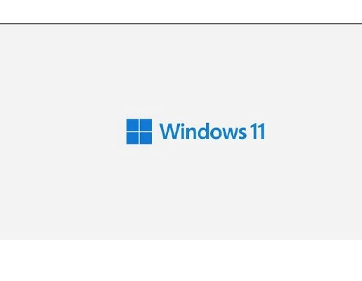 Autoadesivo del Coa di chiave X 21 della licenza di Windows 11 del PC pro con la chiave del prodotto di vittoria 11 dell'ologramma