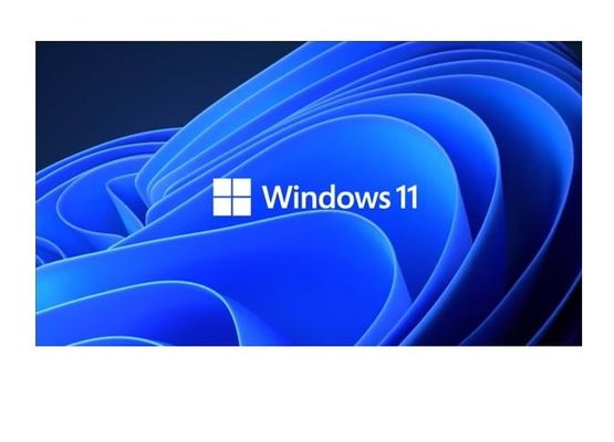 64 costruttore pungente Box Activation del pacchetto dell'OEM di Windows 10 di DVD pro