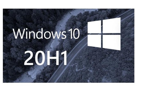 Attivazione online del pro del PC di Windows 10 del prodotto di chiave autoadesivo del Coa